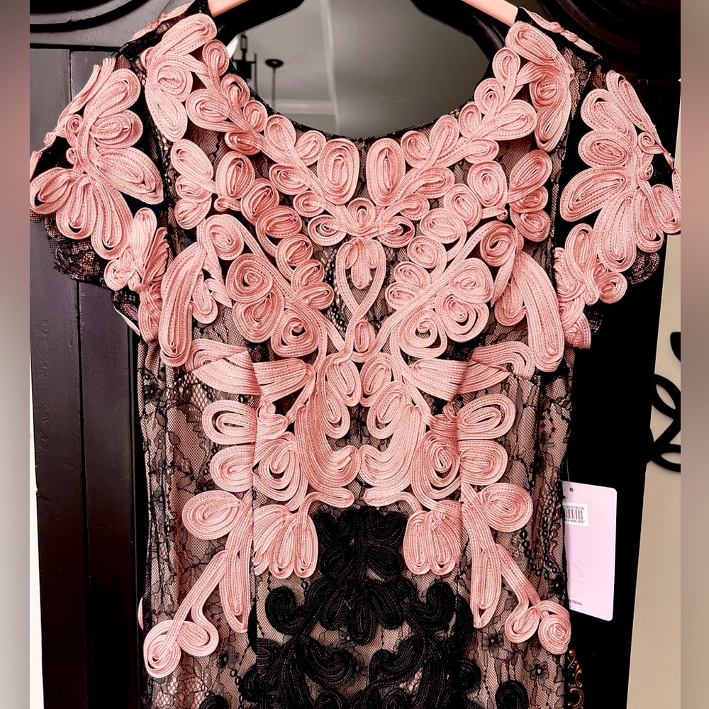 Gorgeous Dress for Holiday Parties! Black Lace with Pink Embroidery. NWT Size 6